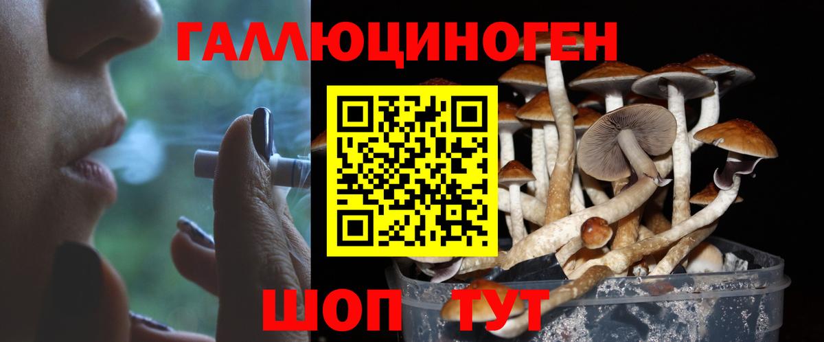 Псилоцибиновые грибы Psilocybe  Вход с VPN  Галлюциногенные грибы Cubensis  Тимашёвск 