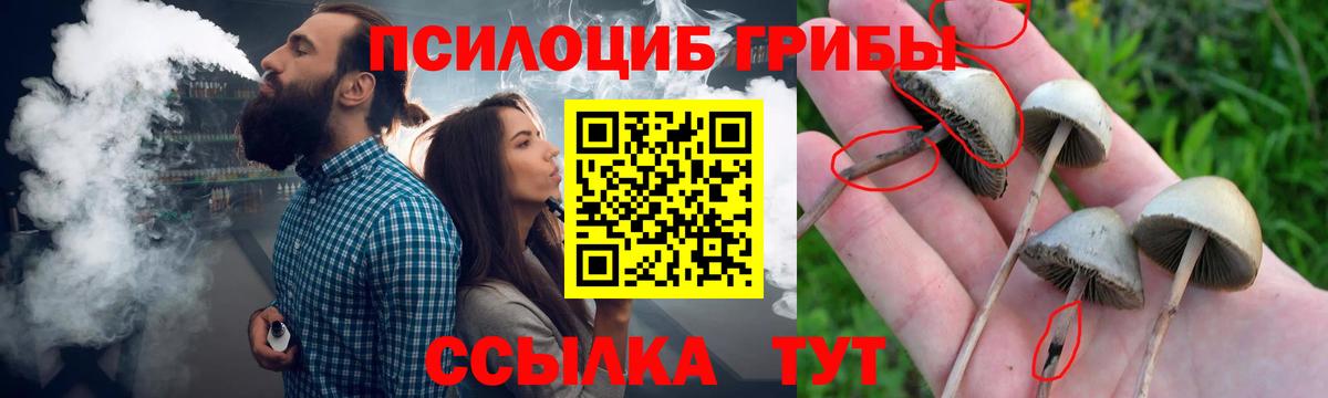 Псилоцибиновые грибы мицелий Тимашёвск